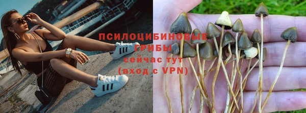 хмурый Алзамай