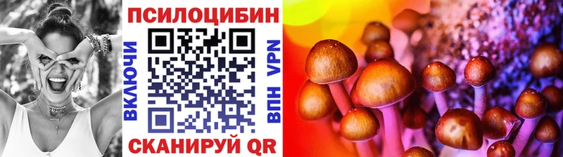 Псилоцибиновые грибы Psilocybine cubensis  Ковылкино 